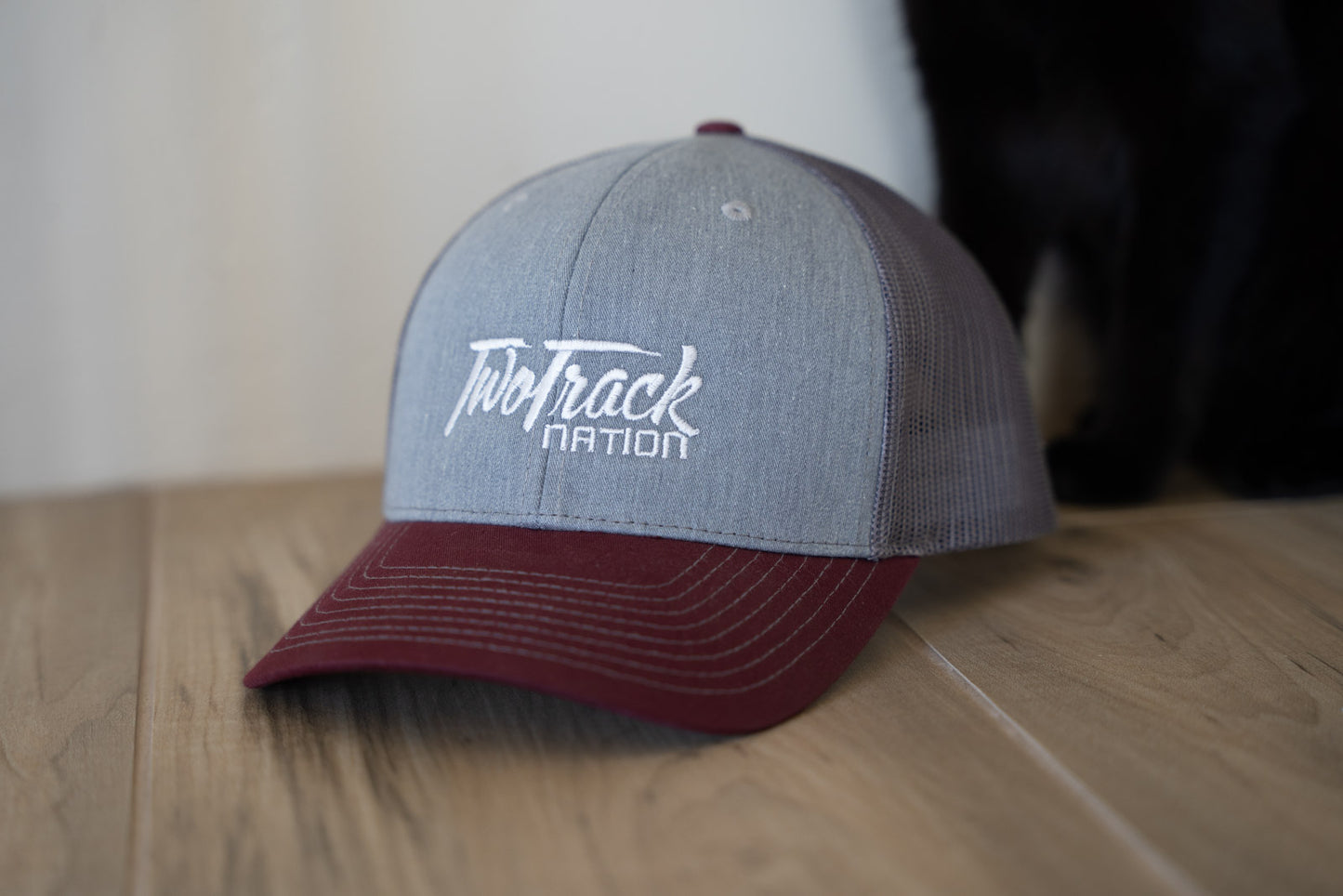 TTN Logo Hat